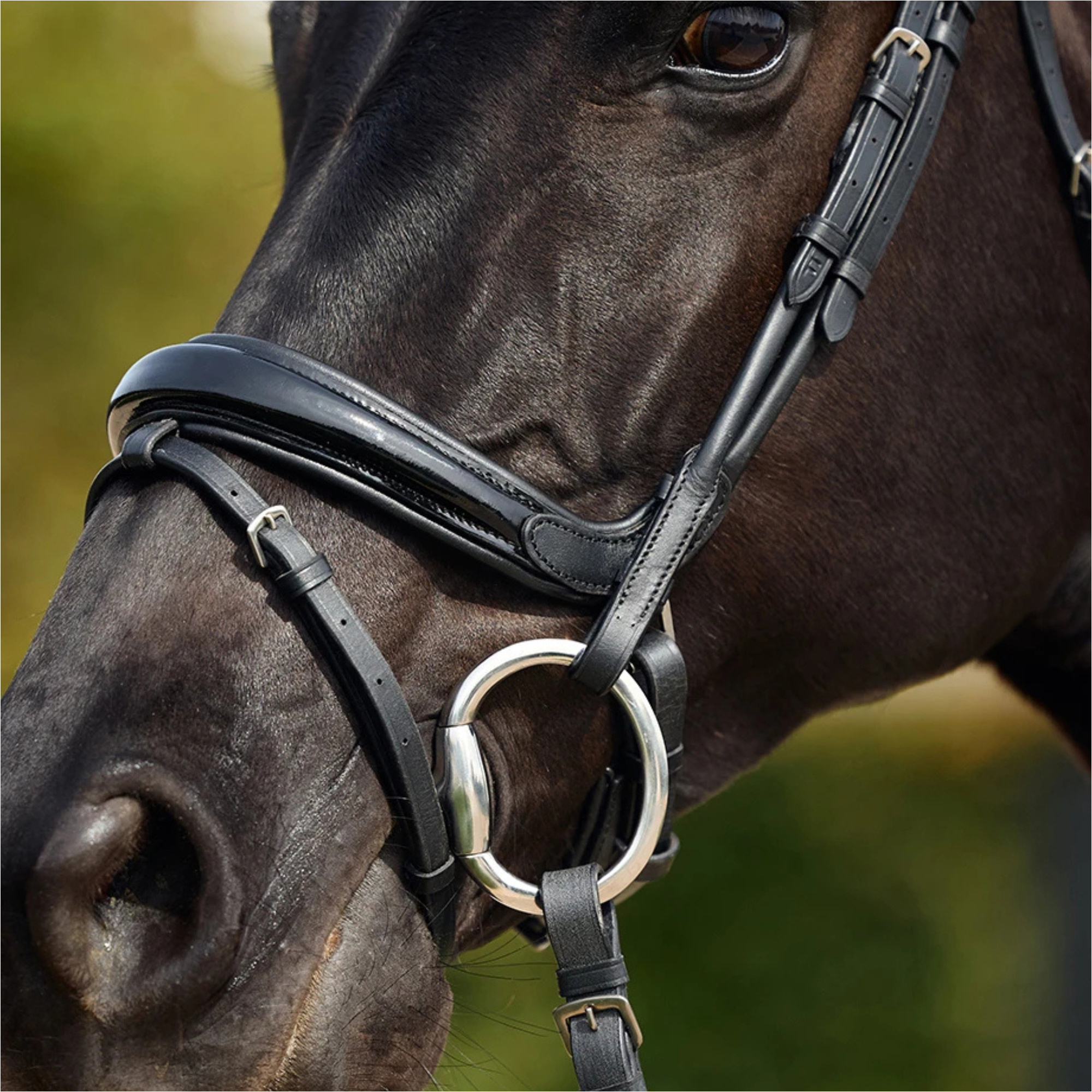 2026 Dublin Rembourré Mono Couronne Brevet Flash Bridle 1031501 - Black
